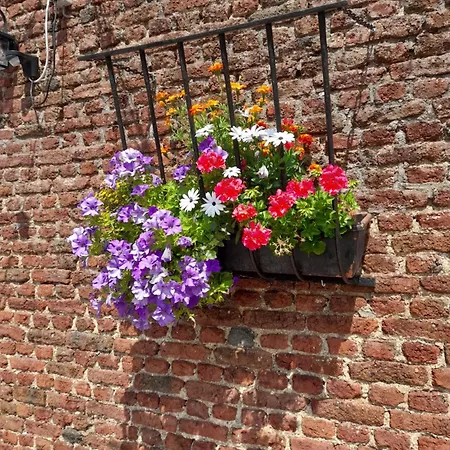 Konukevi Les De La Fromagerie D'ambly